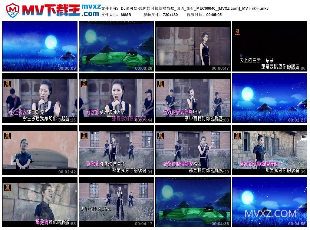 DJ张可如-想你的时候就唱情歌_国语_流行_MEC00040